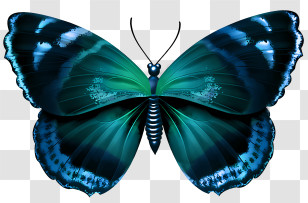 Mariposas - Blue Butterfly With Vivid Patterns Transparent PNG