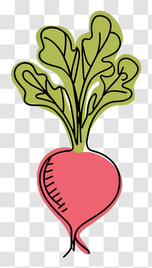 Cartoon - Pink Beetroot With Fresh Green Leaves Transparent PNG