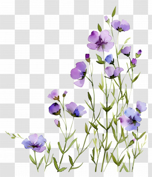 Flower Background - Watercolor Painting Of Purple Flowers Transparent PNG