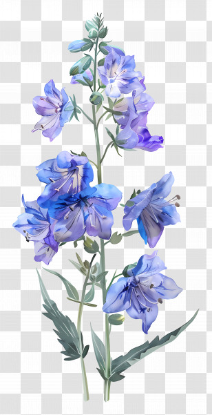 Larkspur Flower - Blue Watercolor Bellflowers With Natural Stems Transparent PNG
