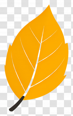 Single Leaf - Golden Autumn Leaf Illustration Transparent PNG