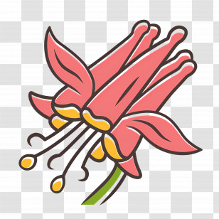 Wildflower - Beautiful Pink Flower Illustration Transparent PNG