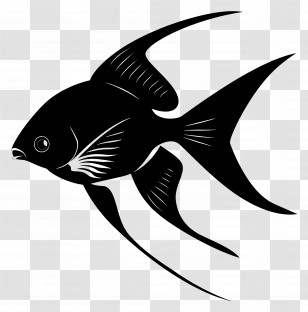 Fish Silhouette - Marine Fish Silhouette Art Transparent PNG