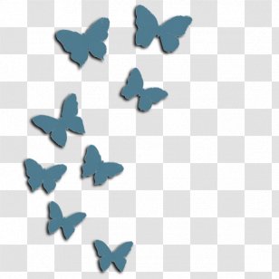 Croquis - Moths And Butterflies - 100K Transparent PNG
