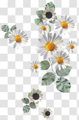 Flower Paper Drawing Icon - Arranging - Antique Jewelry Decorative Vector Transparent PNG