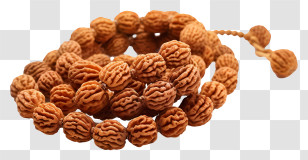 Maha Shivaratri - Sacred Rudraksha Beads Mala Transparent PNG