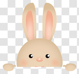 Bunny Face - Adorable Cartoon Bunny Head Illustration Transparent PNG