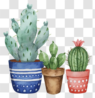 Cartoon - Watercolor Potted Cacti Illustration Transparent PNG
