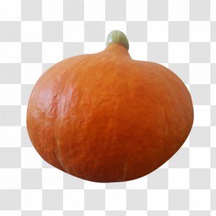 Calabaza Cucurbita Gourd Winter Squash Pumpkin - Vegetable - Acorn Transparent PNG