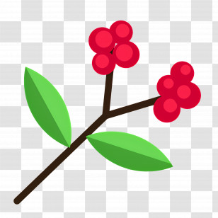 Coffee Plant - Red Berries On Branch Icon Transparent PNG