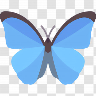 Blue Butterfly - Blue Butterfly In Nature Transparent PNG