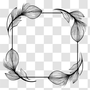 Frame Line - Black And White Floral Frame Transparent PNG