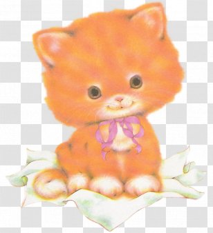 Whiskers Kitten - Orange Transparent PNG