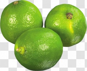 Persian Lime Key Sweet Lemon Citron - Tangelo Transparent PNG