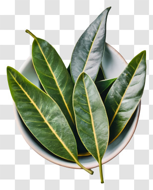 White Bowl - Green Leaves In A Bowl Transparent PNG