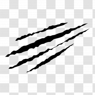 Scratch - Black Scratch Marks Design Transparent PNG