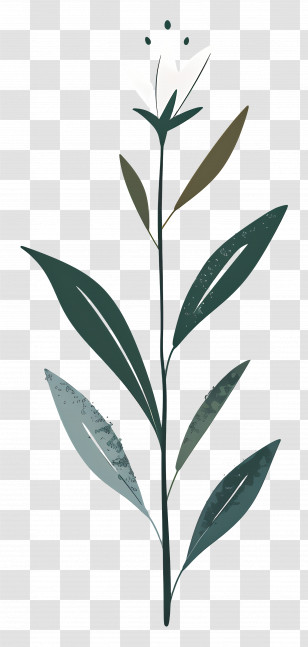 Single Flower - Simple Plant Illustration Transparent PNG