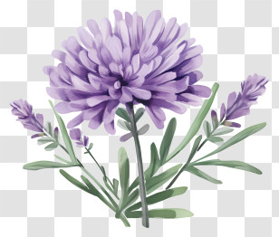 Watercolor Painting - Purple Flower With Green Leaves Illustration Transparent PNG