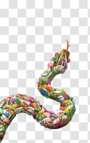 Al Ain Abu Dhabi Food Control Authority Advertising Agency - Snake Transparent PNG