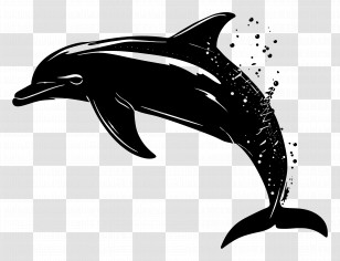 Dolphin Silhouette - Jumping Dolphin Silhouette In Black Style Transparent PNG