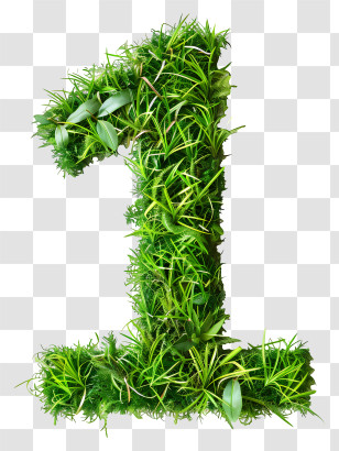 Number One - Leafy Green Number One Inspired By Nature Transparent PNG
