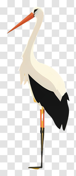 White Stork - White Stork Illustration With Orange Beak Transparent PNG