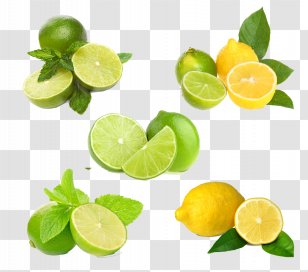 Lemon-lime Drink Key Lime Fruit - Mint - Lemon HQ Pictures Transparent PNG