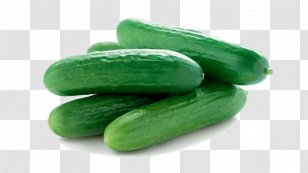 Cucumber Spreewald Gherkins Fruit Organic Food - Gourd Transparent PNG