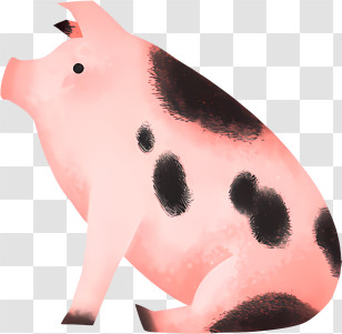 Cartoon Pig - Spotted Pig Illustration Transparent PNG