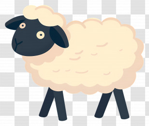 Sheep - Lovely Cartoon Sheep Drawing Transparent PNG