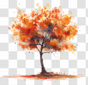 Autumn Tree - Beautiful Autumn Tree With Falling Leaves Illustration Transparent PNG