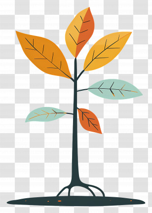 Minimalistic Tree With Colored Leaves - Simple Minimalistic Tree Design Transparent PNG