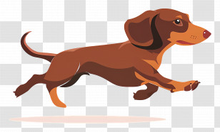 Animated Dog - Dachshund Running Animation Transparent PNG