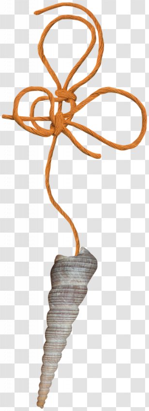 Royal Dutch Shell Mollusc Seashell Luigi Transparent PNG