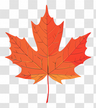 Maple Leaf - Autumn Maple Leaf Representation Transparent PNG