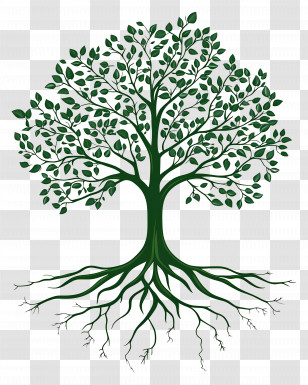 Tree With Roots - Tree With Green Leaves And Visible Roots Illustration Transparent PNG