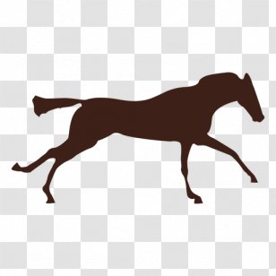 Pony Roblox Corporation Foal Horse Heart Rate Transparent Png - pony roblox corporation foal horse horse png clipart free