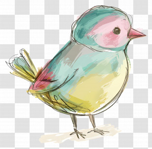 Doodle Bird - Colorful Bird In Artistic Style Transparent PNG