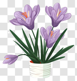 White Vase - Crocus Flower In A Decorative Pot Transparent PNG