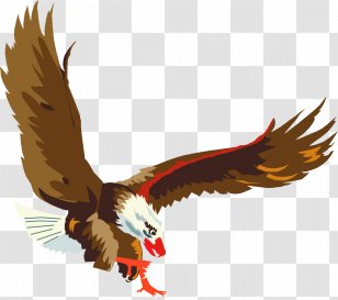 Philadelphia Eagles - Wildlife - Eagle Transparent PNG