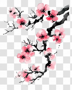 Flower Banner - Sketch Of Flower Branch Transparent PNG