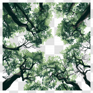 Forest Canopy - Canopy Of Green Trees Viewed From Below Transparent PNG
