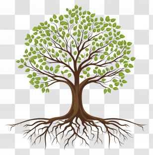 Tree With Roots - Tree With Roots And Green Leaves Transparent PNG