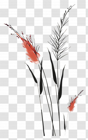 Flower Grass - Abstract Minimalist Plants Transparent PNG