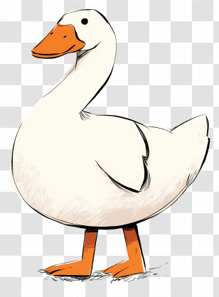 Cartoon Goose - Cute Cartoon White Duck Illustration Transparent PNG