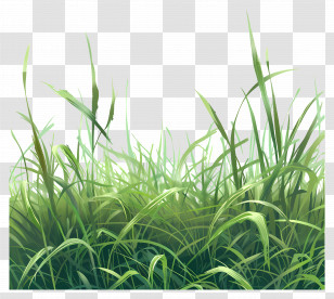 Grass Field - Realistic Green Grass Field Illustration Transparent PNG