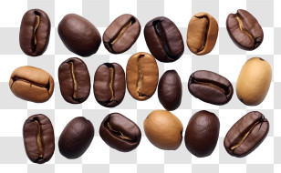 Coffee Beans - Coffee Beans Assortment In Various Shades Transparent PNG