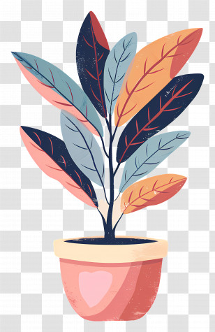 Stephania Plant - Decorative Potted Plant Illustration In Modern Style Transparent PNG