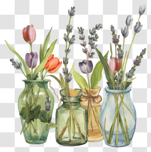 Cartoon - Glass Vases With Lovely Floral Arrangements Transparent PNG