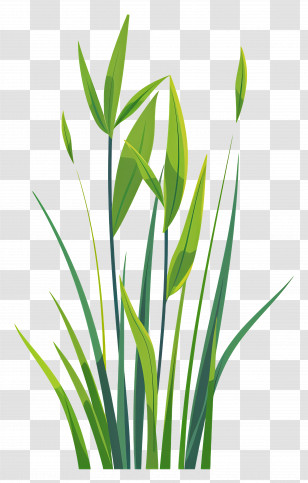Grass Blade - Green Grass Blades Transparent PNG